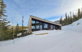 Awesome Home In Rjukan With Sauna